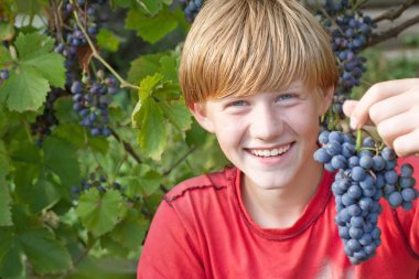 Boy with grape clipart