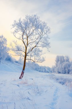 Winter landscape clipart