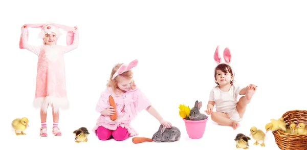 stock image Funny easter colllage