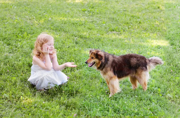 Κοριτσάκι με σκύλο — Φωτογραφία Αρχείου