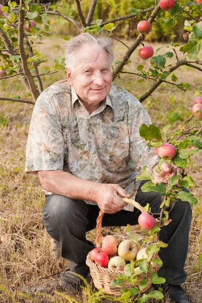 정원에서 오래 된 남자 — 스톡 사진