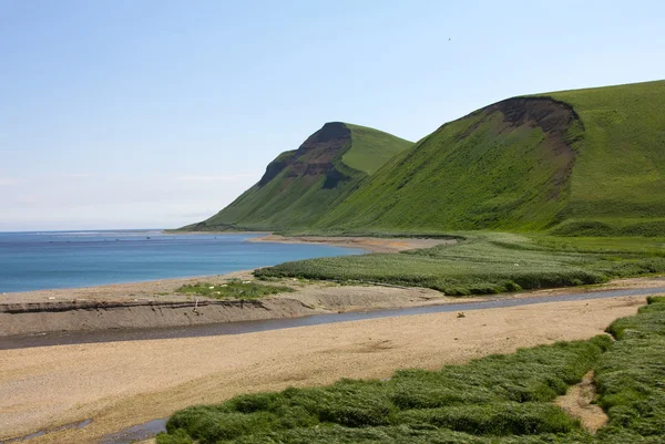 Oceánské pobřeží a řeka ústí 1 — Stock fotografie