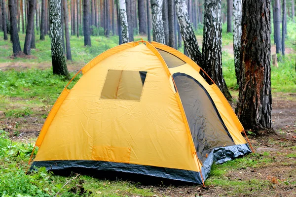 Zelt im Wald — Stockfoto