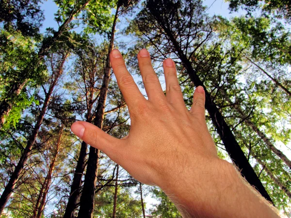 Жест рукой на открытом воздухе — стоковое фото