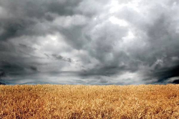 stock image Dramatic clouds in field