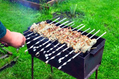 Shish kebab clipart