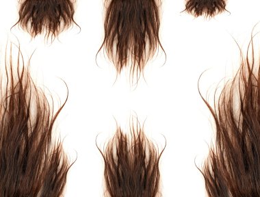 Brown hairs clipart