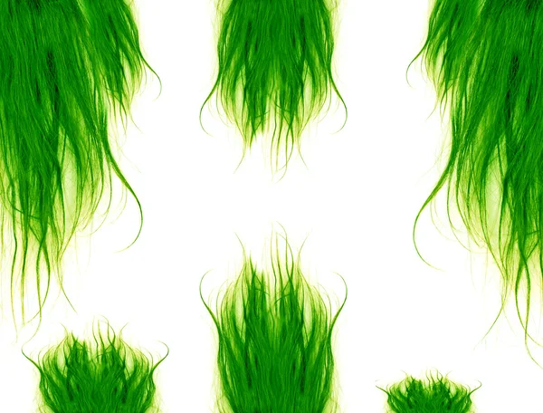 Зеленые волосы — стоковое фото