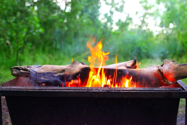 Campfire — Stock Photo, Image