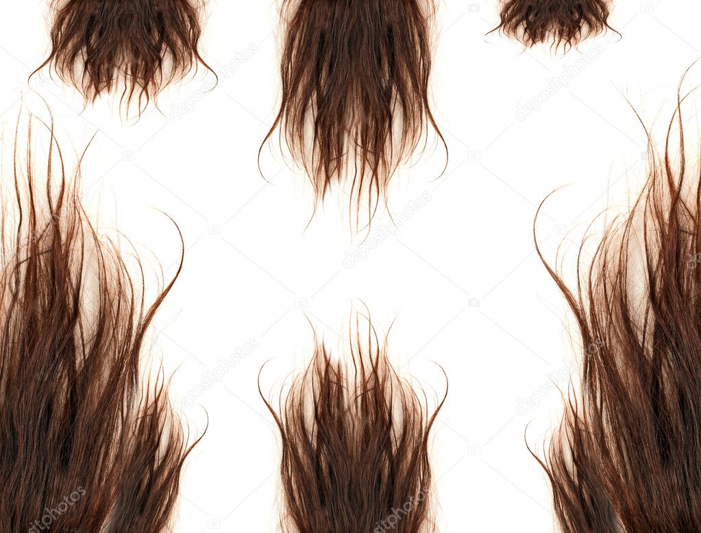 Brown hairs