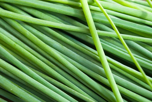 stock image Green onion leaves