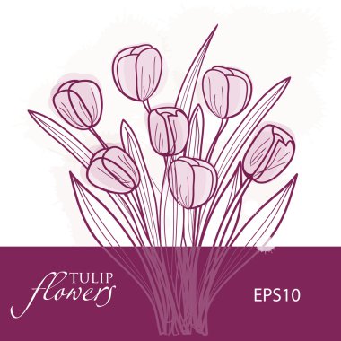 Tulip flowers. Vector background clipart