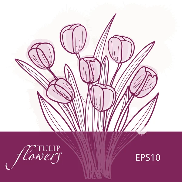 Flores de tulipa. Fundo vetorial —  Vetores de Stock