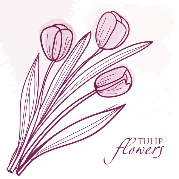 Flores de tulipa. Fundo vetorial — Vetor de Stock