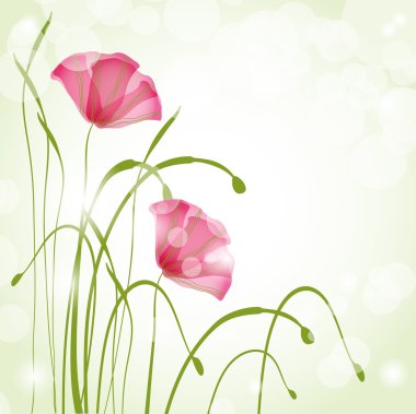 Spring card with poppies. clipart