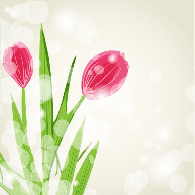 Cute and fresh red tulip flowers clipart