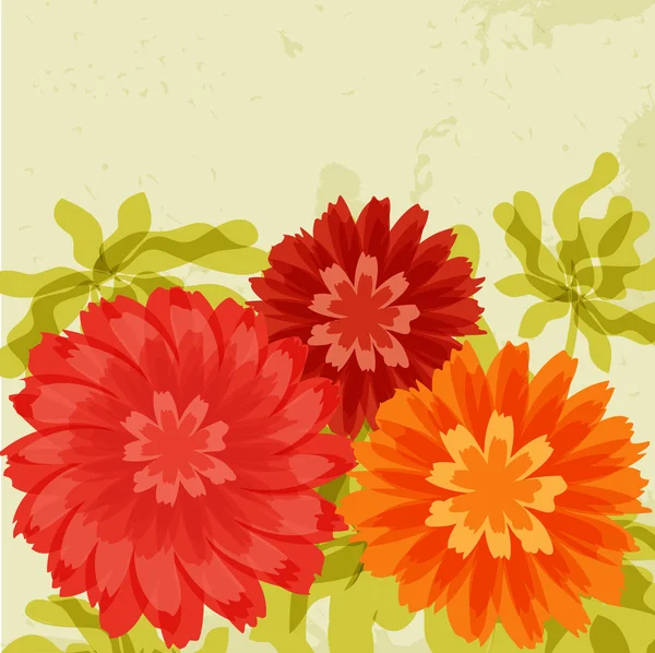Chrysanthemen auf Grunge-Hintergrund — Stockvektor