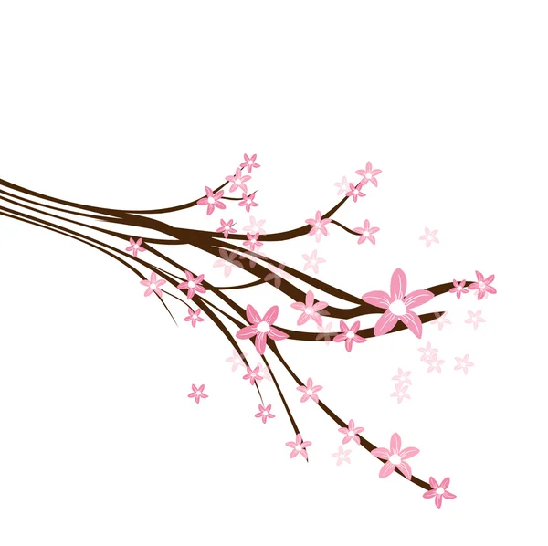 Cerisier. Carte vectorielle printemps — Image vectorielle