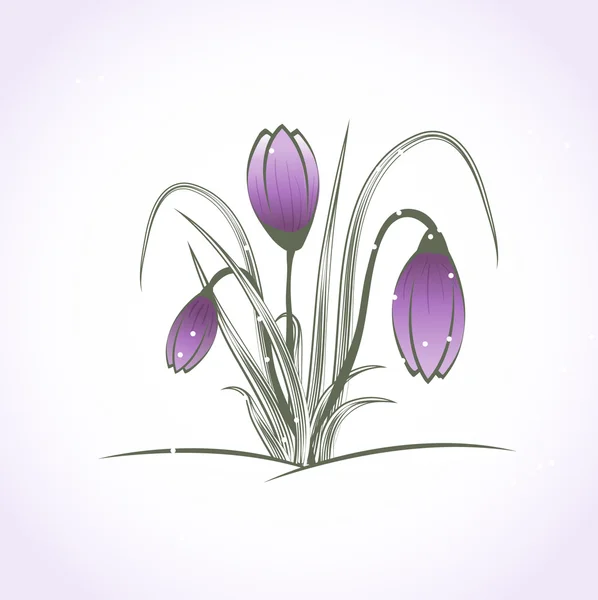 Carte florale vintage avec crocus de printemps — Image vectorielle