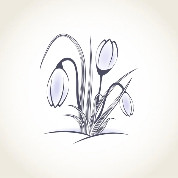 Carte florale vintage avec crocus de printemps — Image vectorielle