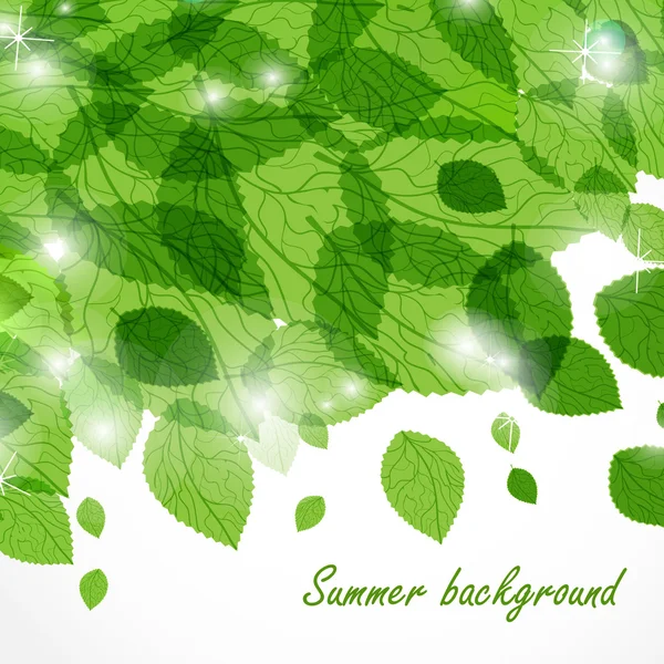 Summer background with green leaves — Stock Vector