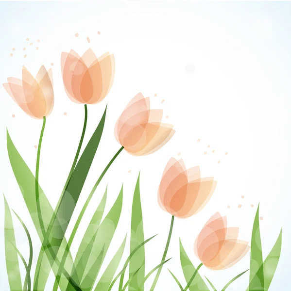 Roztomilý a čerstvý červený Tulipán květy — Stockový vektor
