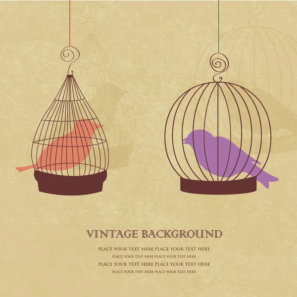 Vintage card with two cute birds in retro cages — Stock Vector