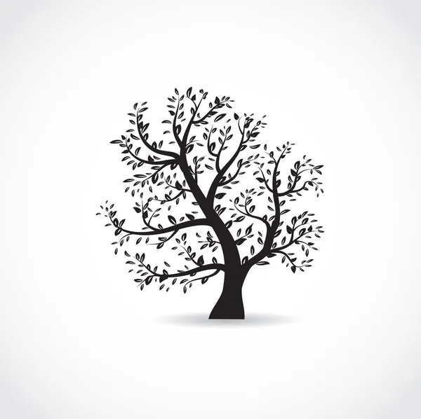 Ilustración vectorial de hermoso árbol de primavera en colores blanco y negro — Archivo Imágenes Vectoriales