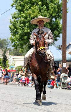 Ojai 4th Temmuz geçit 2010