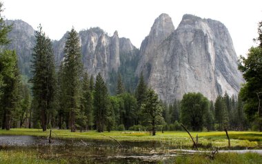 Yosemite çayır