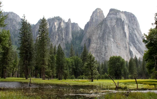 Łąki Yosemite — Zdjęcie stockowe