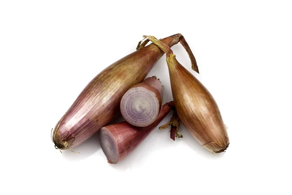 Echalion Onions — Stock Photo, Image