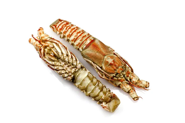 Champagne Lobster — Stock Photo, Image