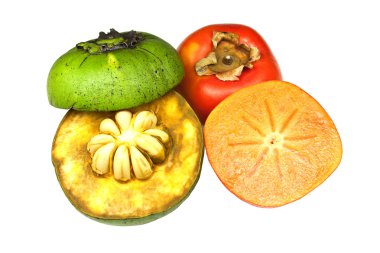 Sapote clipart