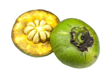 Black Sapote clipart