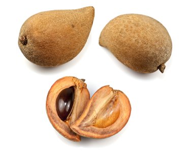 Mamey Sapote clipart