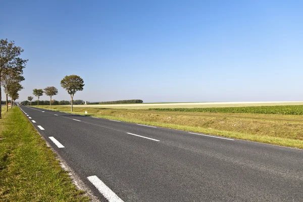 Strada di campagna — Foto Stock