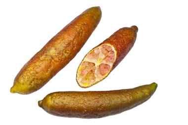 Organic Finger Lime clipart