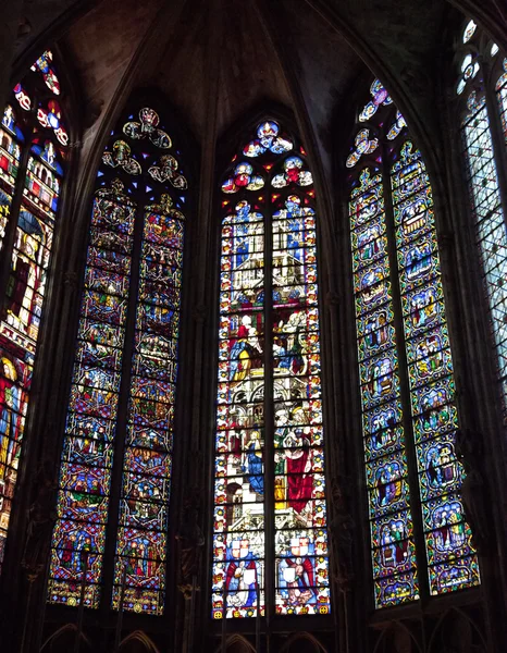 Carcassonne vitráží — Stock fotografie
