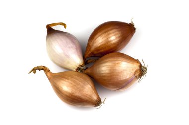 French Shallots clipart