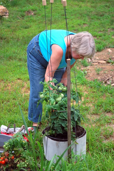Θηλυκό κηπουρός. — Φωτογραφία Αρχείου