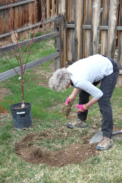 Vrouwelijke tuinman. — Stockfoto