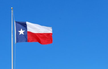 Flag of texas. clipart