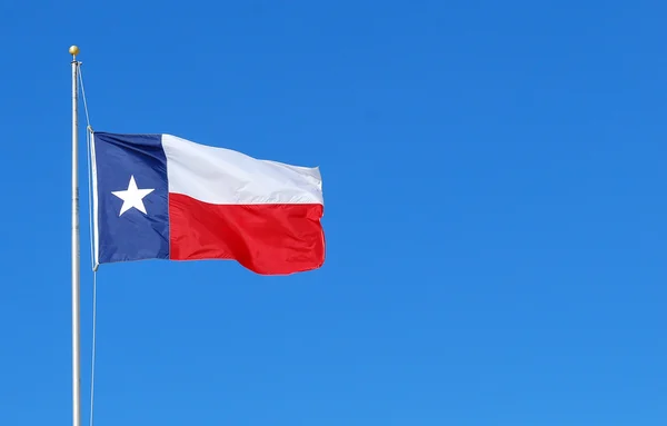 stock image Flag of texas.