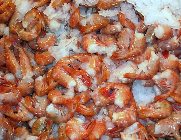 Fresh shrimp. — Stock Photo, Image