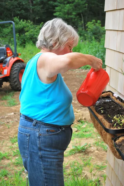 Ženské zahradník. — Stock fotografie