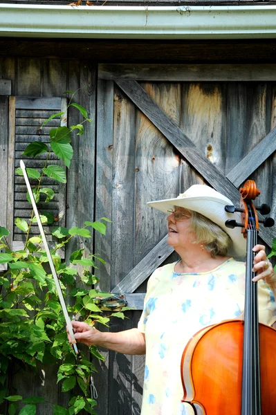 Violoncellista donna . — Foto Stock