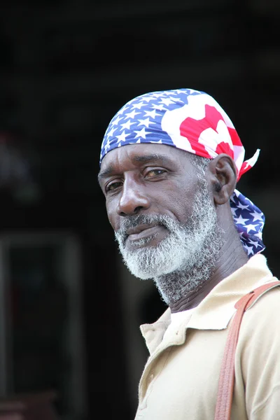 stock image African american voter.