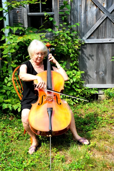 Ženské violoncellista. — Stock fotografie