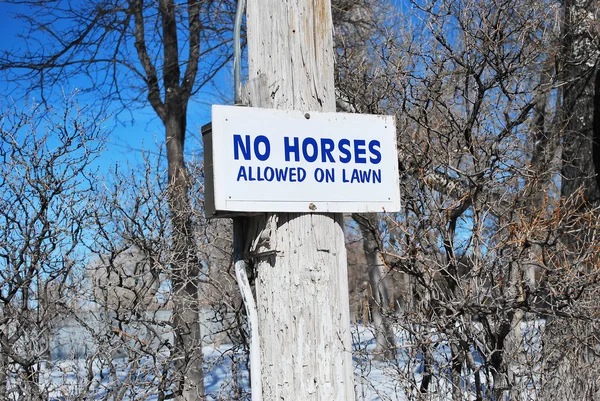 Inga hästar får tecken. — Stockfoto